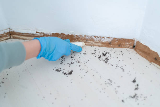 Best Real Estate Pest Inspections  in Gearhart, OR